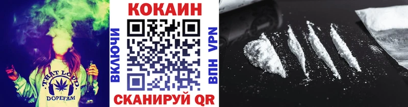 Купить Могоча Cocaine Эквадор