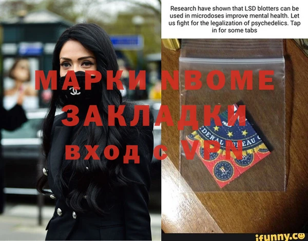 кокс Елизово