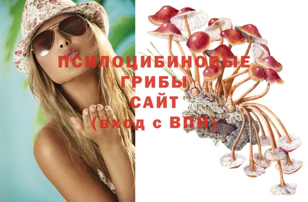 кокс Елизово