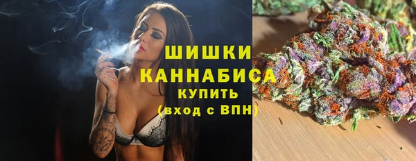 кокс Елизово