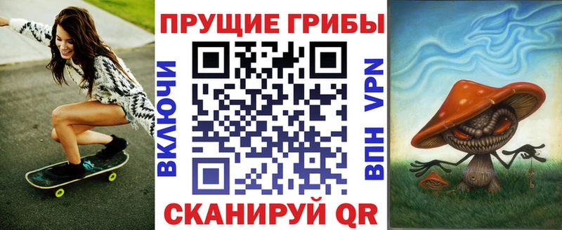 Купить где  Могоча  Псилоцибиновые грибы Psilocybine cubensis 